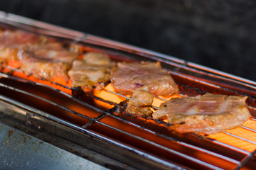 grilled meat on the grill