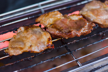 grilled meat on the grill