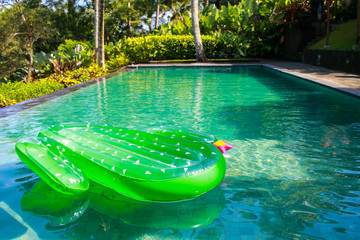 Inflatable giant green cactus pool float, floating on outdoor swimming pool.