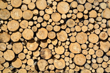 Forestry industrial concept background. Round sawing logs are stacked in a large pile