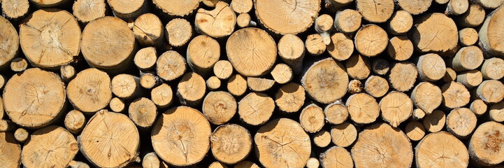 Widescreen wallpaper. Forestry industrial concept background. Round sawing logs are stacked in a large pile