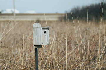 bird house in a prarie