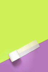 A beautiful roll of toilet paper on the plain background with outer place for adding text