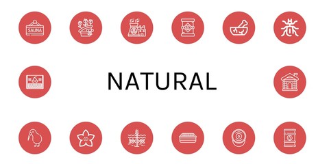 natural icon set