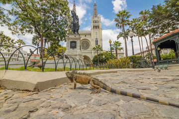 Parque de las Iguanas Guayaquil