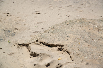 砂浜