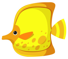 Yellow fish on white background