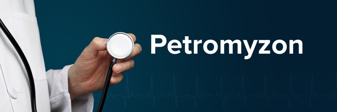 Petromyzon. Doctor in smock holds stethoscope. The word Petromyzon is next to it. Symbol of medicine, illness, health