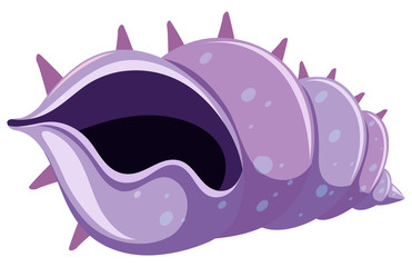Purple seashell on white background