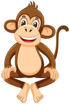 Cute monkey on white background