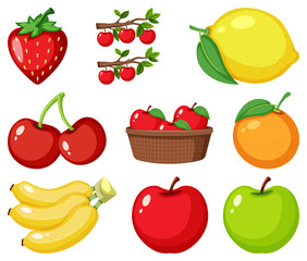Set of different types of fruits on white background