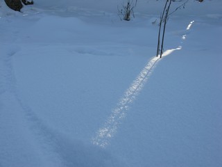 Obraz premium Winter