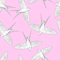 Black and white swallows on a pink background
