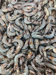 photo fresh seafood on the counter supermarket