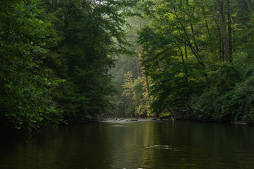 Fototapeta na wymiar Water gently flowing down Abrams Creek. Smoky Mountains National Park, Tennessee, USA