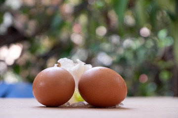 Chicken eggs on the wood floor
