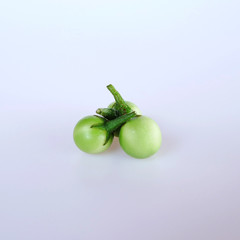 Close up turkey berry or Pea eggplant  isolated on white background.