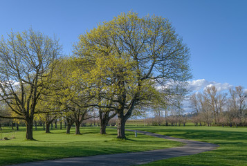 Public park landscape in Fairview Oregon.