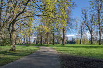 Fototapeta na wymiar Public park landscape in Fairview Oregon.