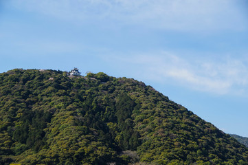 山頂に再建された岩国城
