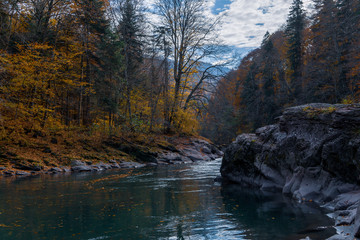 Clean mountain river in the autumn forest.