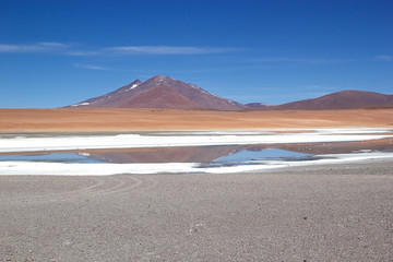Santa Maria Lagoon at the Puna de Atacama with volcano Carachi Pampa in the background, Argentina