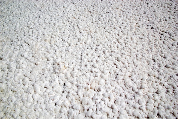 Salt pan at the Ojos de Mar close to the town of Tolar Grande in Puna, Argentina