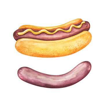 Hot dog watercolor. Fast food meal on watercolor illustration. Painting hot dog vector isolated on white background. Aquarelle food for restaurant menu design. Watercolor hand drawn sandwich.