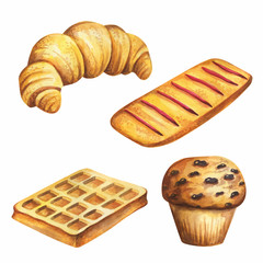 Bakery watercolor. Painting croissant vector isolated on white background. Aquarelle bakery design. Watercolor food for bakeries menu, cafe, packaging.