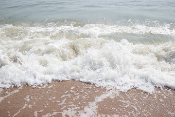 soft ware on sand at the beach of Thailand