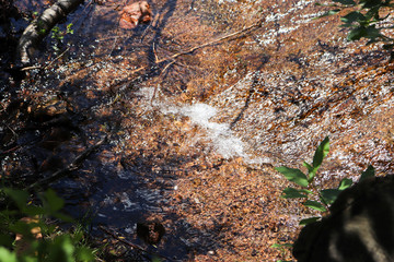  Flowing waterfall stream along hiking trails in Colorado 