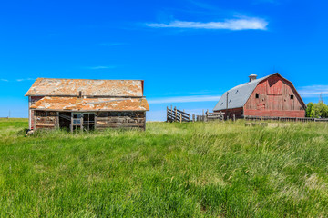 Abandoned Farm Yard