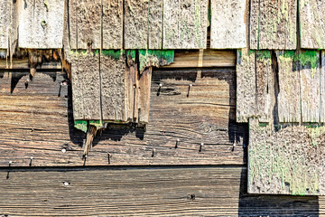 Wood Shingles