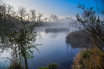 Rheinauen nahe Rhinau im Elsass am frühen Morgen