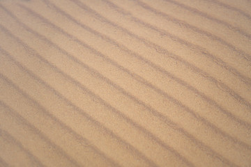 Fototapeta na wymiar rows of sand underwater for background and texture 
