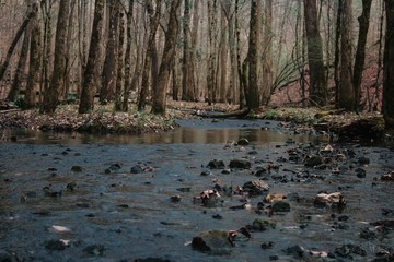 creek bed