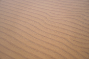 rows of sand underwater for background and texture   