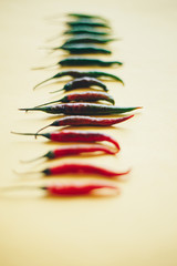 Chilli peppers assorted by colour on yellow backdrop