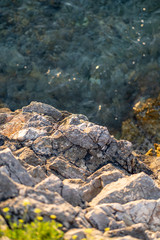 A view of the ocean coastline of Premantura Kamenjak in Croatia