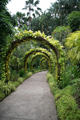 Fototapeta na wymiar Nature in Singapore!