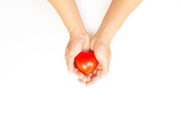 Hands holding a red heart on a white background