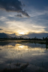 sunset over rice paddies nha trang, vietnam, asia