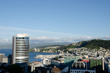 View of wellington city buildings from botanic gardens