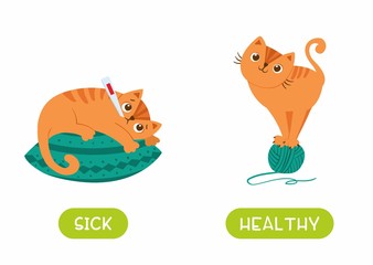 Cat lying on pillow with thermometer and playful kitten flat illustration with typography. Healthy and sick antonyms flashcard vector template. Word card for english language learning, flat characters