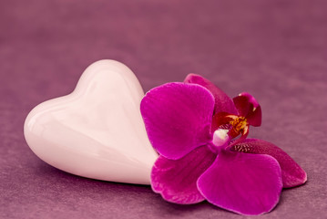 Fototapeta na wymiar Pink Orchid Flower And Ceramic Heart