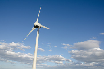 Fototapeta premium Brooklyn wind turbine on windy day, wellington