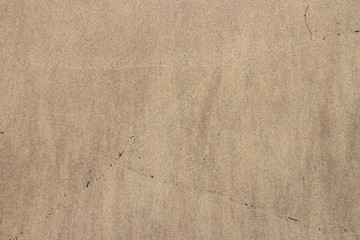 Dune of pilat on the atlantic littoral in france