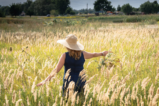 Middle-aged woman in a long blue dress and a straw hat with wide margins spread her arms walking across the summer field with a dry yellow ears of spins back to us. Free walk in the meadow with good
