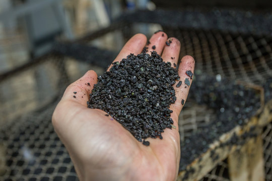 Chromite Ore Specimen Sample Raw Mineral In Miner Geologyst Hand