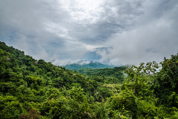 Obraz premium Beautiful Minca in Colombia